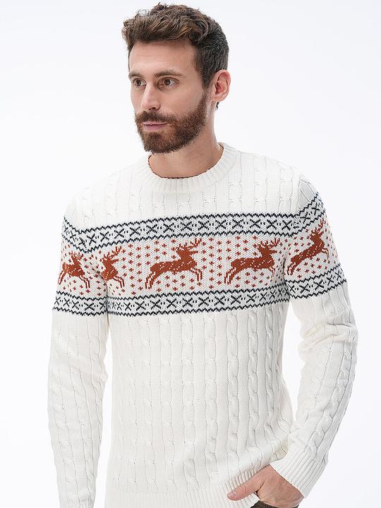 Produktbild Selected Homme Zopfstrick Pullover - 561412 (L)