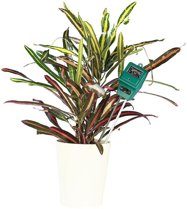 Produktbild Royal Gardineer 2er-Set 3in1-Kombi-Bodenmessgerät für Pflanzen