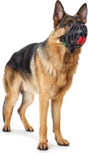 Actual product image Hunter Albury - Muzzle - 4 (4, Dog, General)