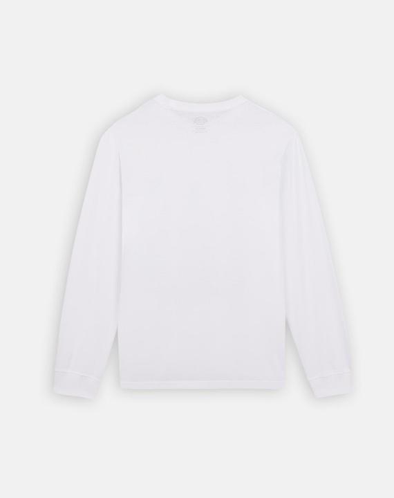 Actual product image Dickies L/S Mapleton Tee (L)