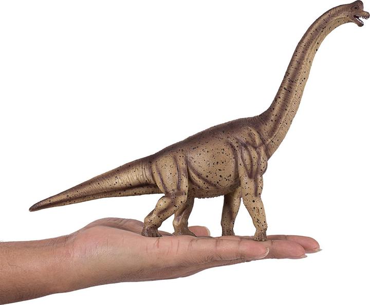 Actual product image small foot Brachiosaurus