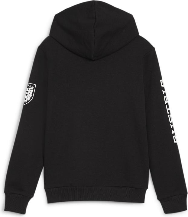 Produktbild Puma ÖFB Ftblicons Hoody Jr (164)