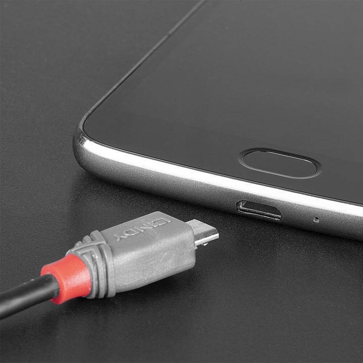 Produktbild Lindy Anthra Line (0.50 m, USB 2.0)