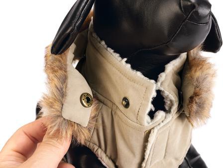 Immagine prodotto Designed by Lotte Cappotto per cani Philos (XXXXL, Cappotto per cani)