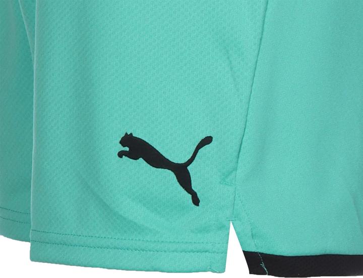 Produktbild Puma Österreich Shorts Away EM 2021 Herren (S)