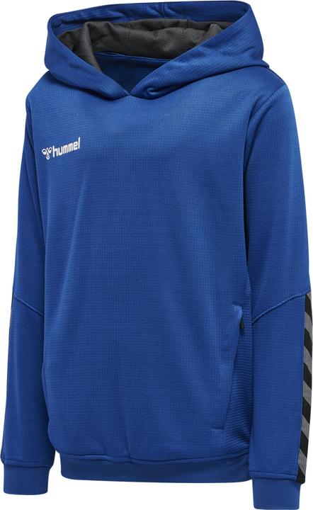 hummel Authentic Kids Poly Hoodie