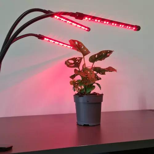 Immagine prodotto Gardlov Lampada (LED, 5 V)