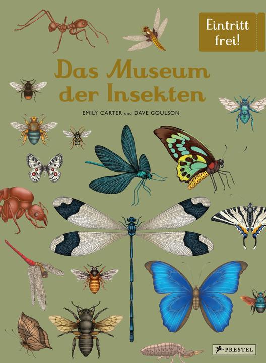 Immagine prodotto Das Museum der Insekten (Tedesco, Dave Goulson, Emily Carter, 2024)
