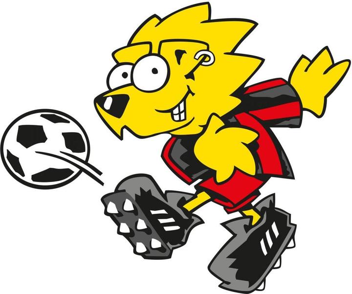 Actual product image Bayer 04 Leverkusen Brian (120 x 144 cm, 40 x 48 cm, 100 x 120 cm, 80 x 96 cm, 60 x 72 cm, 20 x 24 cm)