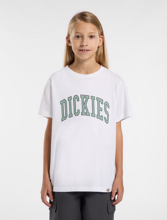 Immagine prodotto Dickies Aitkin Tee SS K (L)