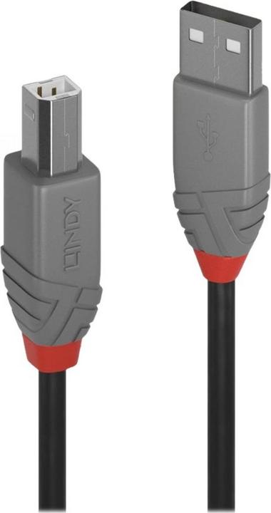 Lindy 10m USB 2.0 Typ A an B Kabel Anthra Line (10 m, USB 2.0)