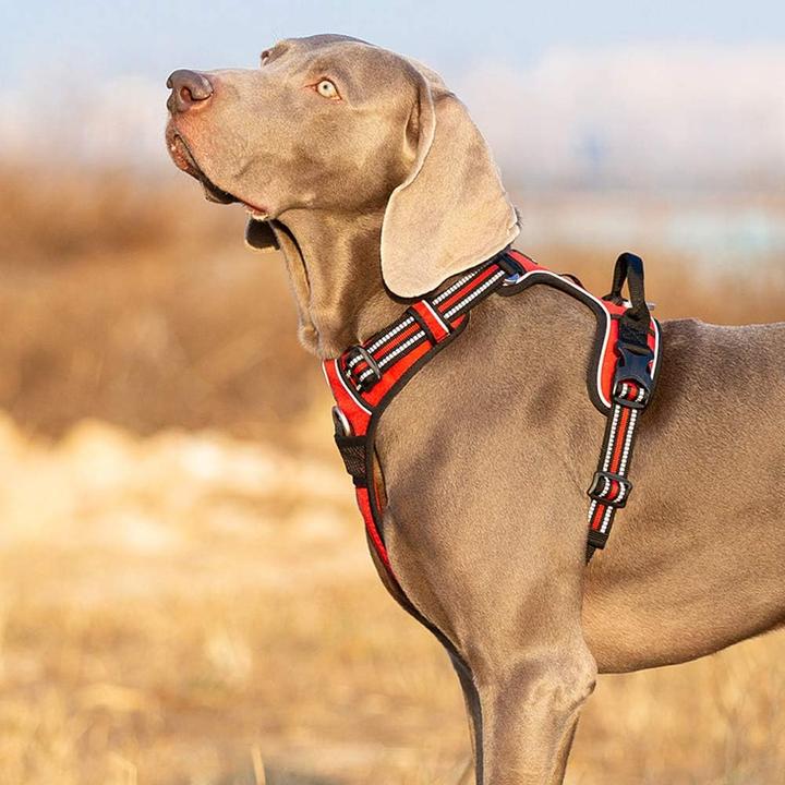 Produktbild Truelove Hundegeschirr (S, Hund, Hundesport, Spazieren, Allgemein)