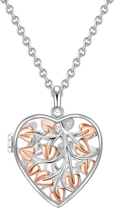 Image du produit Rafaela Donata Femme coeur argent sterling/or rose 42,0 cm chaîne de base + 7,0 cm extension - 11706 (Argent Sterling, 42 - 49 cm)