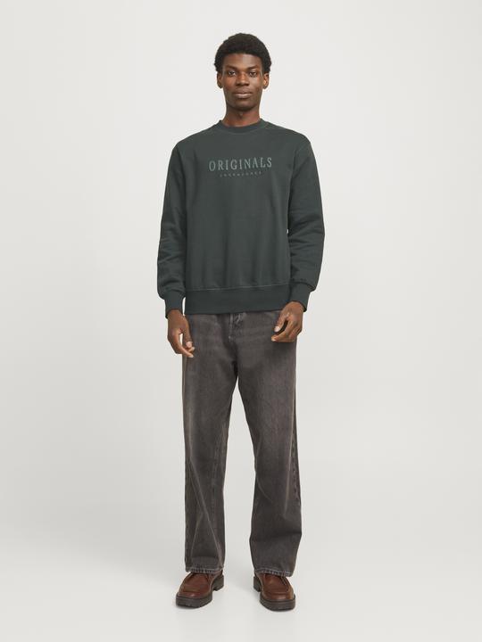 Actual product image Jack & Jones Printed sweatshirt Sweatshirt (XS)