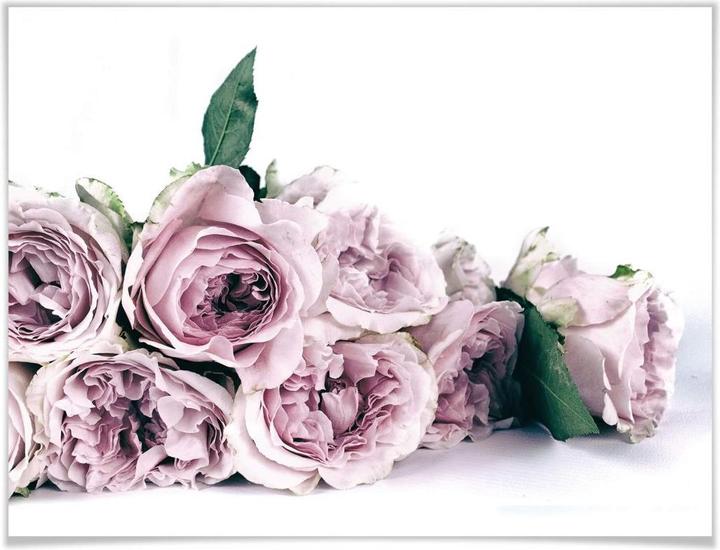 Produktbild Trenddeko Violette Pfingstrosen (40 x 30 cm)