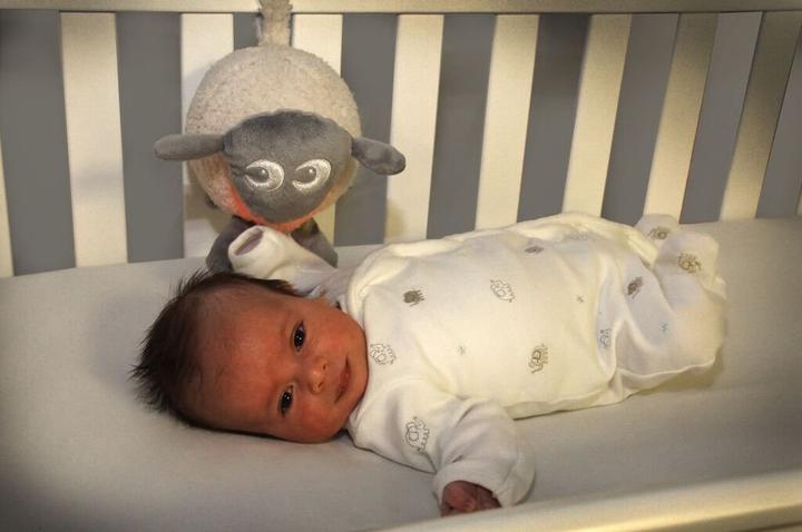 Image du produit Sweet Dreamers Ewan, le mouton de rêve (17 cm)
