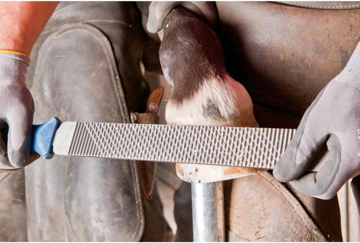 Produktbild Pferd Feilenheft FH6/1 für Hufhobel & Hufraspel ergonomische auf Anwendung abgestimmte Form Länge 106 mm (106 mm)