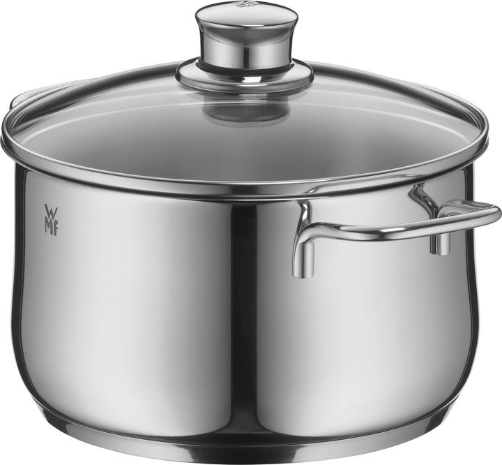 Meat Pot Diadem Plus (20 cm, Pot, Stainless steel)