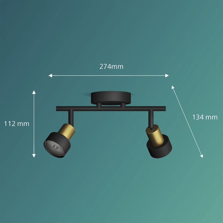 Image du produit Philips Conduit (GU10)