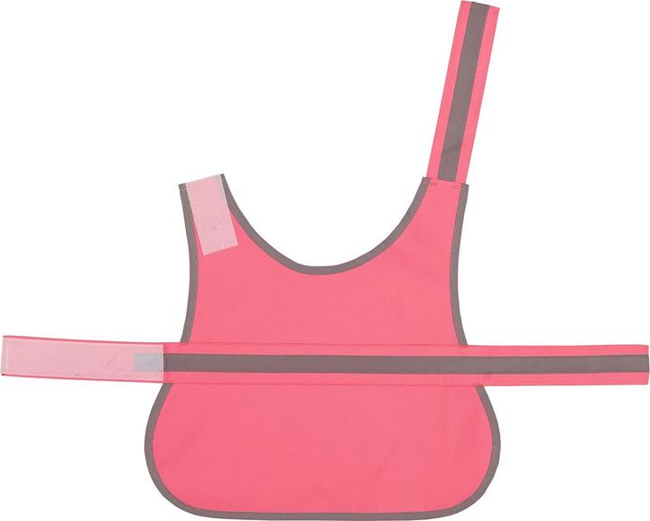 Rosa neon