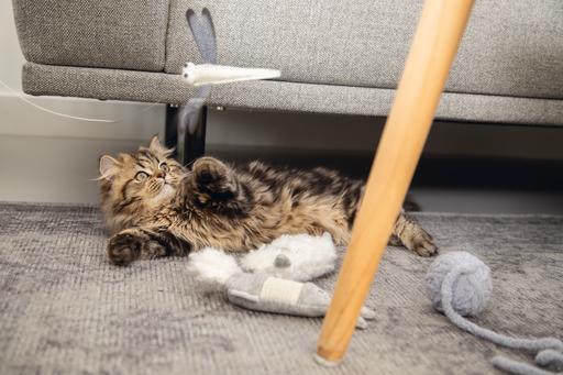 Produktbild Beeztees Kitten Spielzeug Hase (Katzenminzespielzeug)