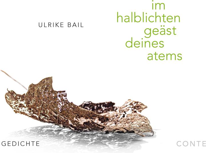 Immagine prodotto im halblichten geäst deines atems (Tedesco, Ulrike Bail, 2023)