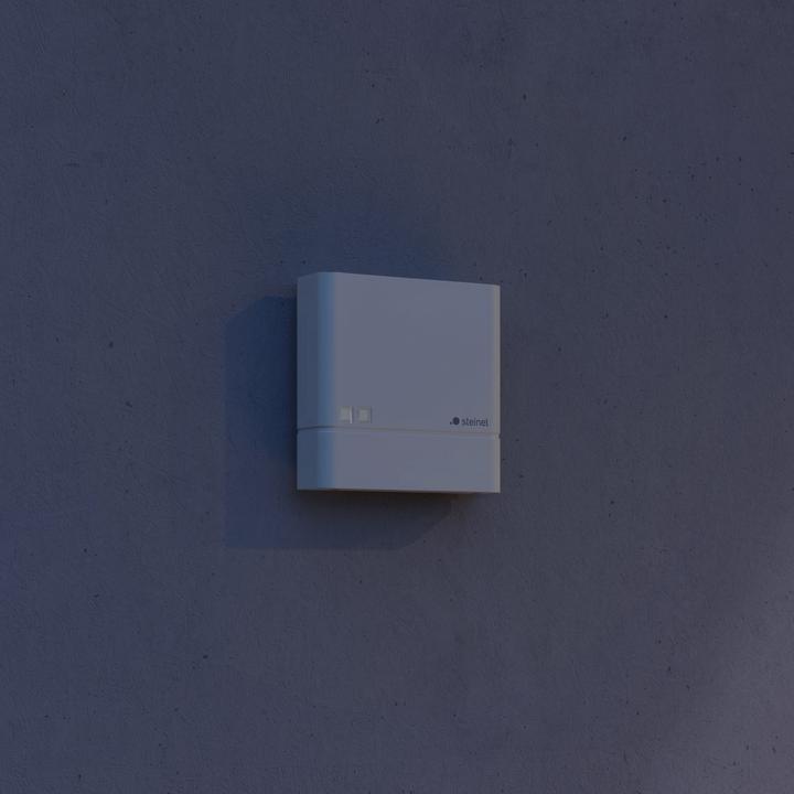 Actual product image Steinel Twilight switch