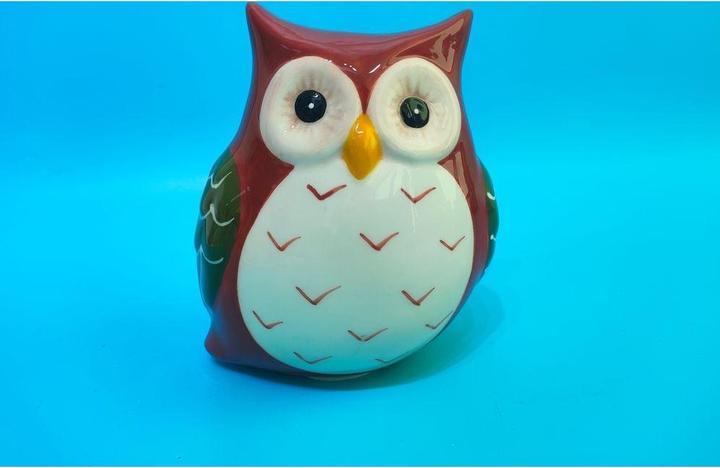Roost Sparkasse 12x9.5x14cm