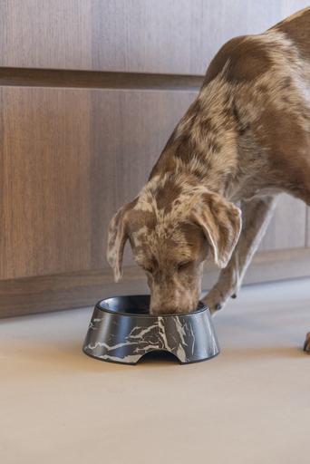 Immagine prodotto Designed by Lotte Ciotola per cani Meis (0.70 l)