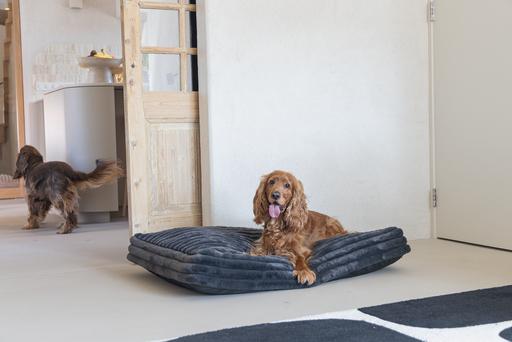 Produktbild Designed by Lotte Liegekissen Reza (Hund)
