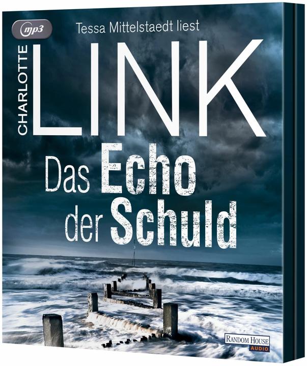 Actual product image The echo of guilt (Charlotte Link, German)