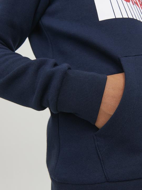 Actual product image Jack & Jones Boys Logo Hoodie (176)