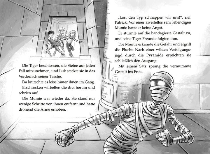 Productafbeelding Tiger-Team - Der Fluch des Pharao (Duits, Thomas Brezina, Pablo Tambuscio, 2024)