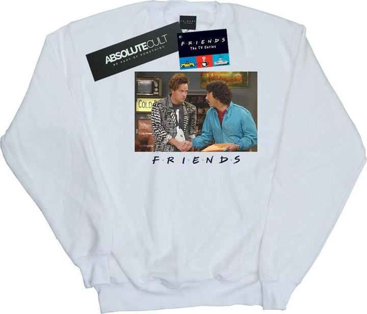Image du produit Friends - Sweat ROSS AND CHANDLER HANDSHAKE - Homme (M)