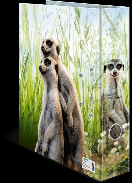 Immagine prodotto Herma Meerkat (A4, 70 mm, 1 Pezzo/i)