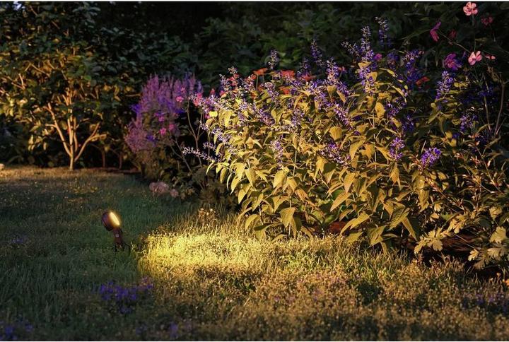 Immagine prodotto Paulmann Sting Spot Insect Friendly (580 lm, IP67)