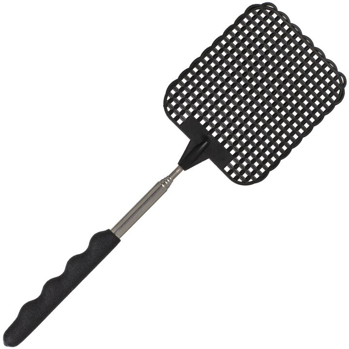 Actual product image Out of the blue Fly swatter