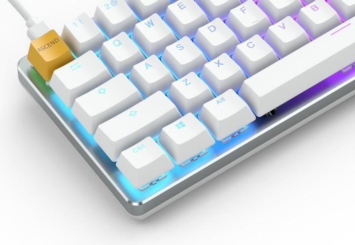 Actual product image Glorious PC Gaming Race White Ice (US, Cable)