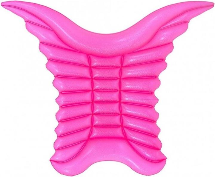 Actual product image Jilong Angel wings