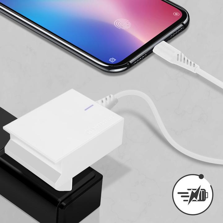 Immagine prodotto Swissten Serie Slim, doppia banca di alimentazione USB da 3A con IC intelligente + cavo USB-C (15 W)