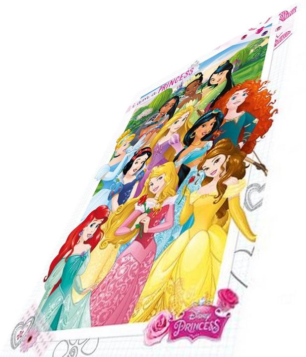 Actual product image Disney Princess Poster (61 x 91 cm)