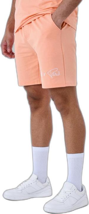 Image du produit Project X Paris short basique broderie logo (XL)