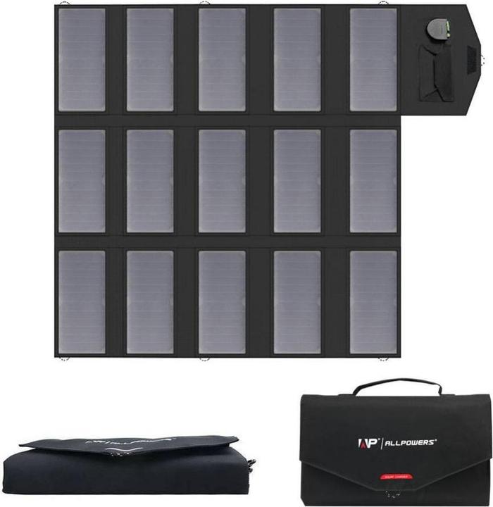 Actual product image Allpowers AP-SP-012-BLA (100 W, 2.15 kg)
