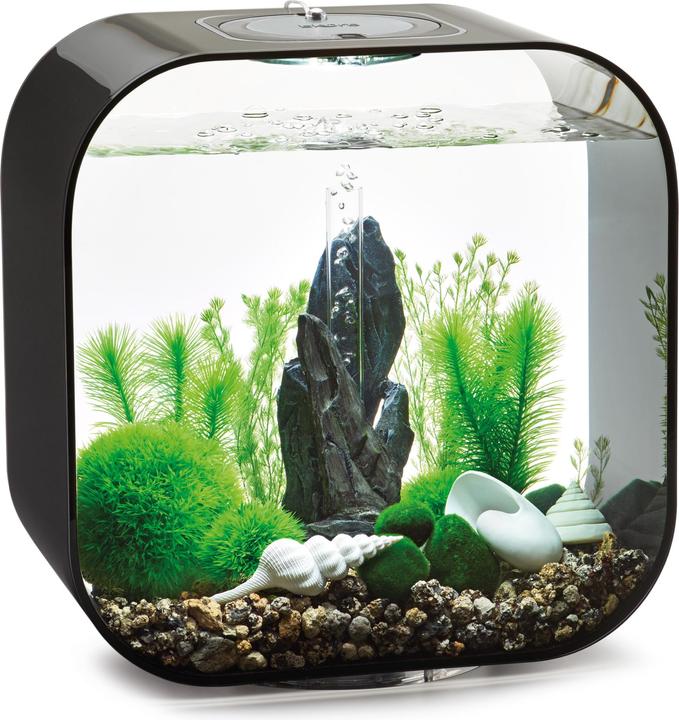 Actual product image Oase biOrb Aquarium 30 Decor Set (Embellishment, other items)