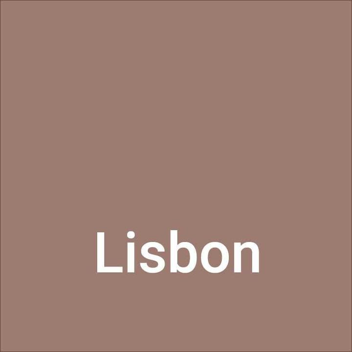 Actual product image Dupli-Color NEXT Lisbon satin-finished (Lisbon Brown, 0.40 l)