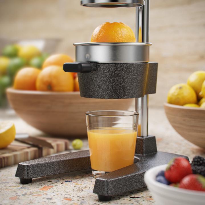 Actual product image Arendo Juicer