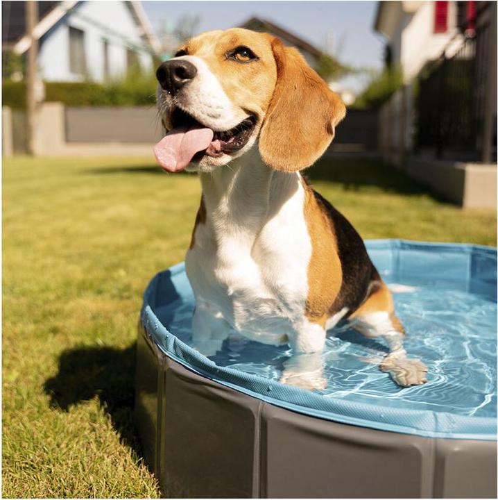 Actual product image Flamingo Swimming pool Splash round Ø 80cm