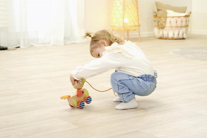 Actual product image Eichhorn Pull-along duck
