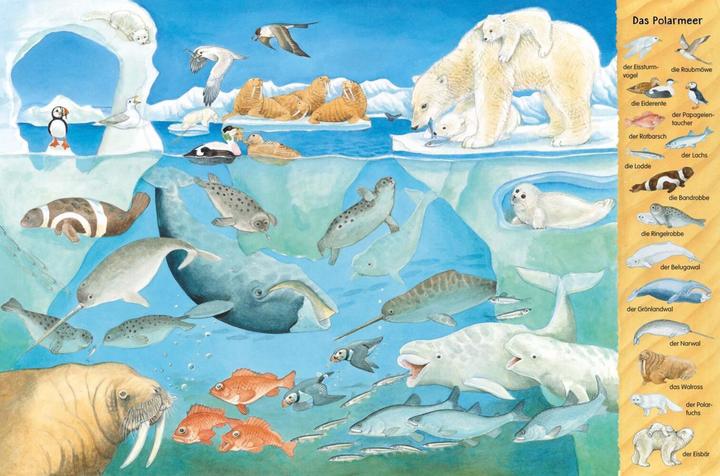 Produktbild Mein grosses Tiere-Wimmelbuch (Deutsch, Christine Henkel, 2021)
