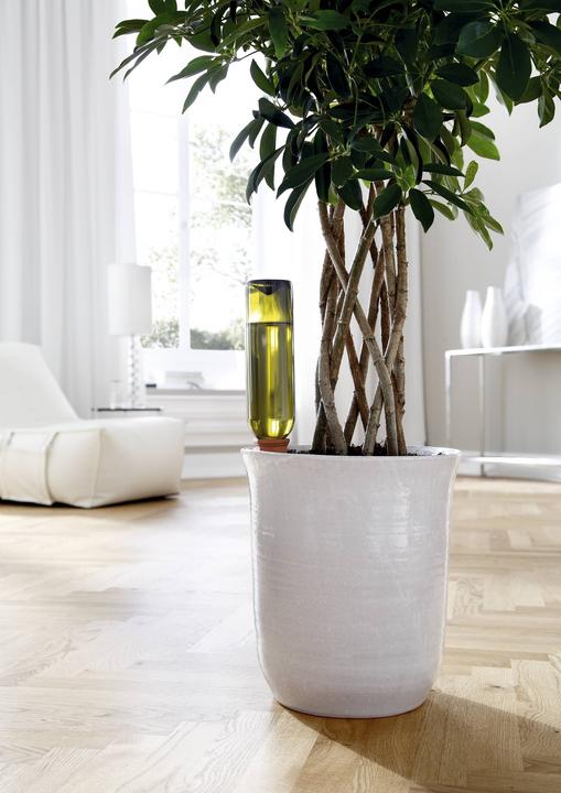 Produktbild Bio Green Hydro Wine Tonkegel (Tonkegel)